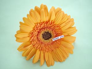 ラプンツェルなどシェリーメイの服の通販