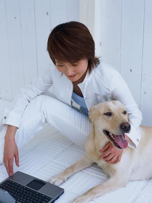 破れにくいOPP袋を提供してくれる